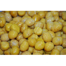 IQF frozen chestnut price per kg peeled chestnut frozen peeled chestnut